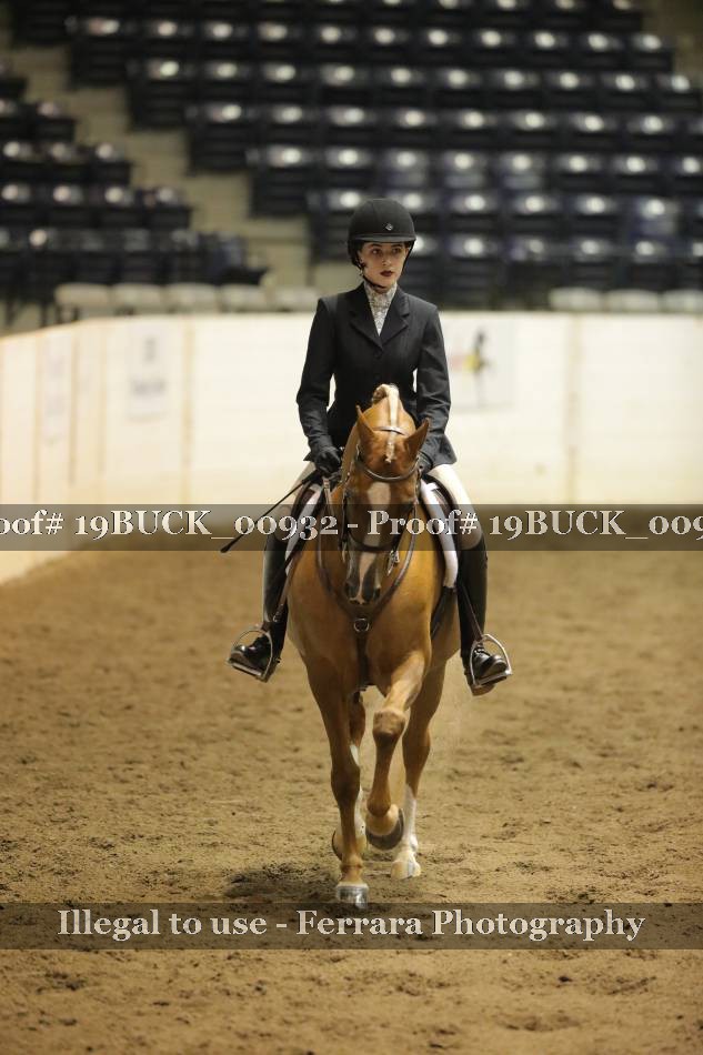 Proof 19BUCK_00932