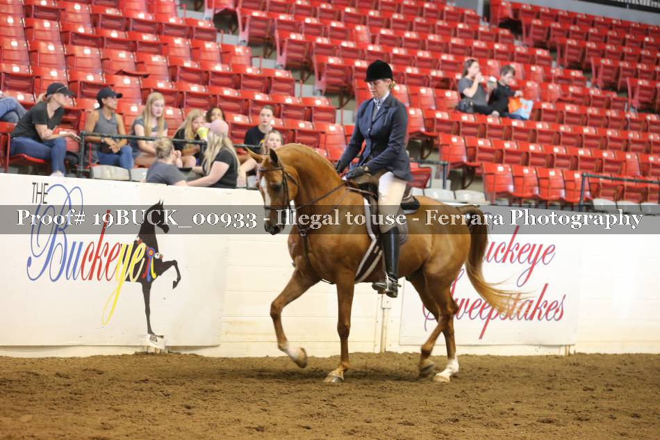 Proof 19BUCK_00933