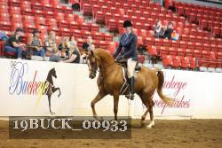 19BUCK_00933 proof