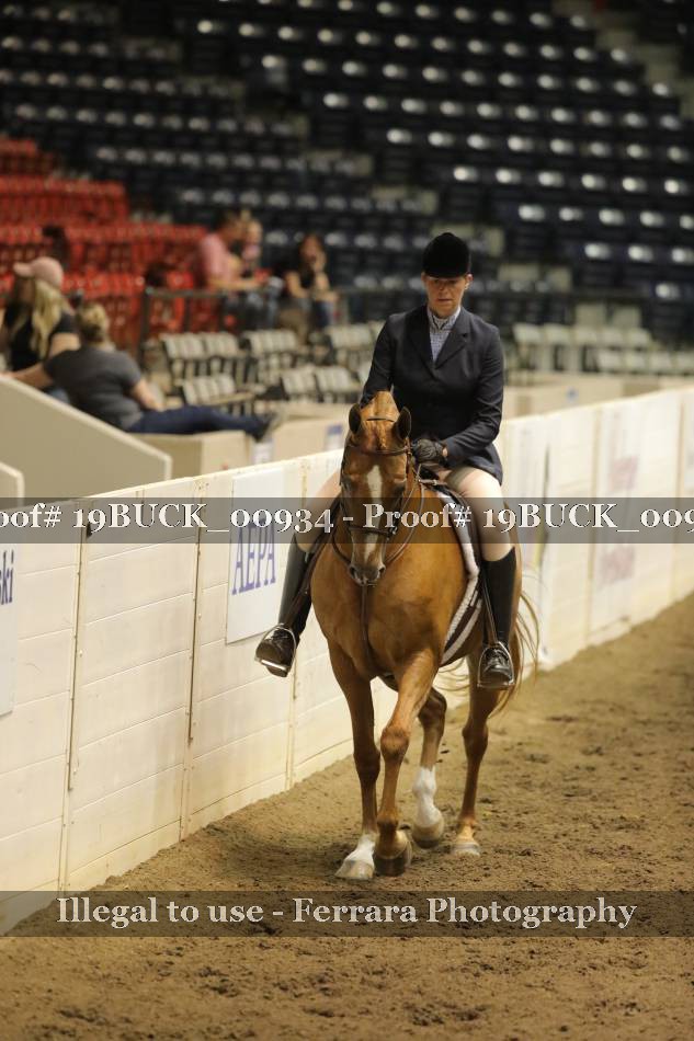 Proof 19BUCK_00934