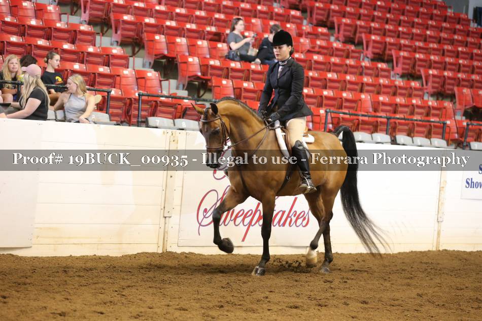 Proof 19BUCK_00935