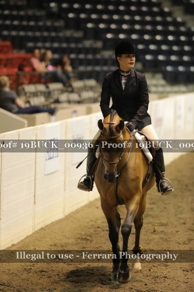 Proof 19BUCK_00936