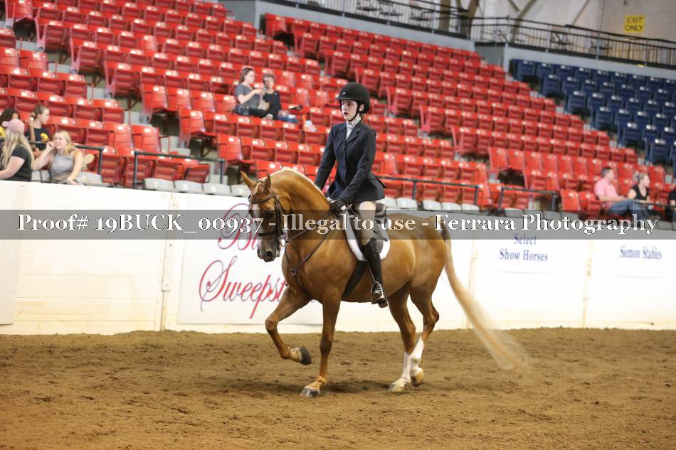 Proof 19BUCK_00937