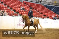 19BUCK_00937 proof