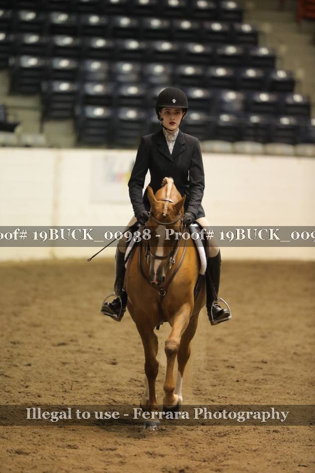 Proof 19BUCK_00938