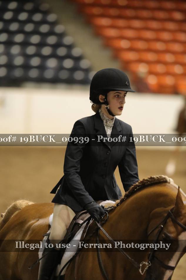 Proof 19BUCK_00939