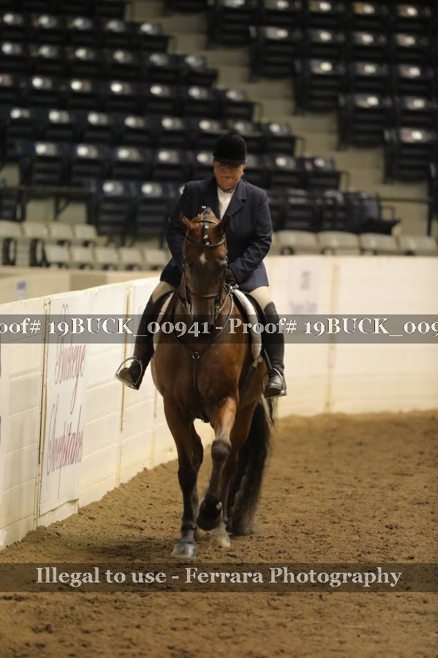 Proof 19BUCK_00941