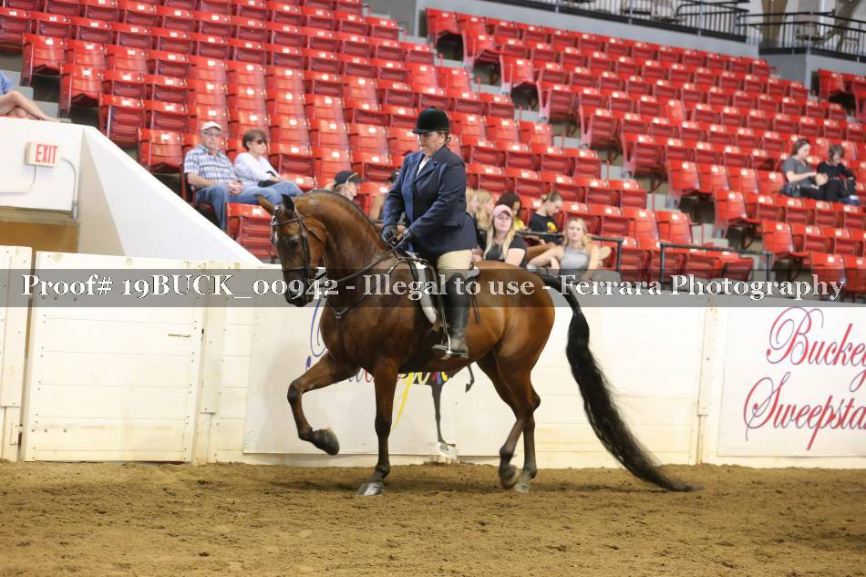 Proof 19BUCK_00942