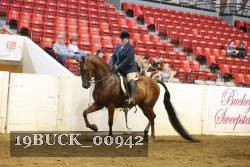 19BUCK_00942 proof