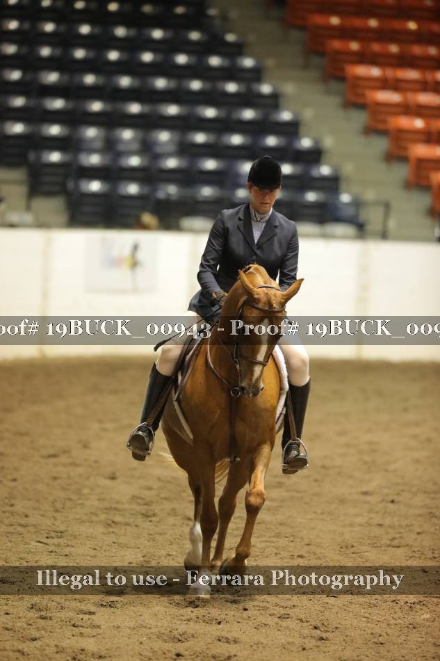 Proof 19BUCK_00943