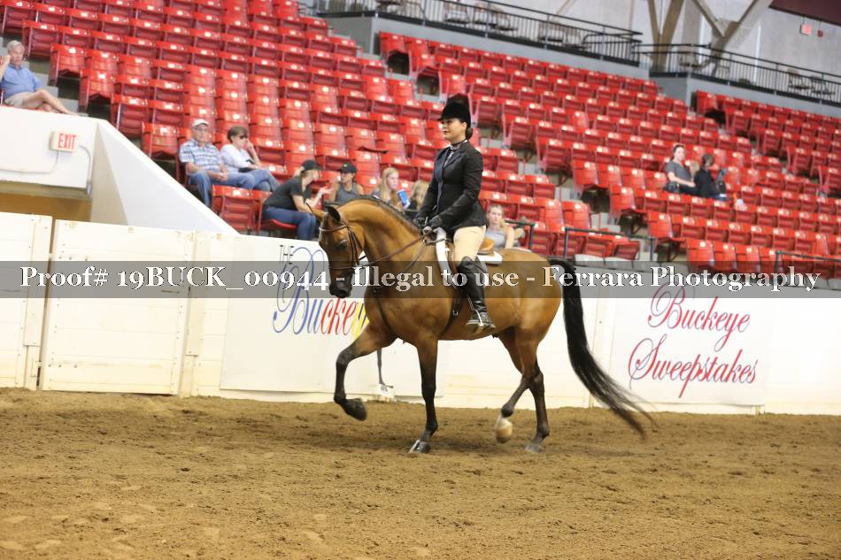 Proof 19BUCK_00944