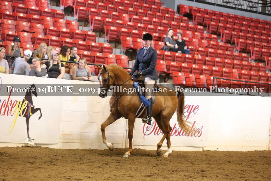 Proof 19BUCK_00945