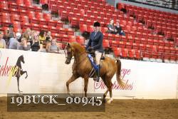 19BUCK_00945 proof