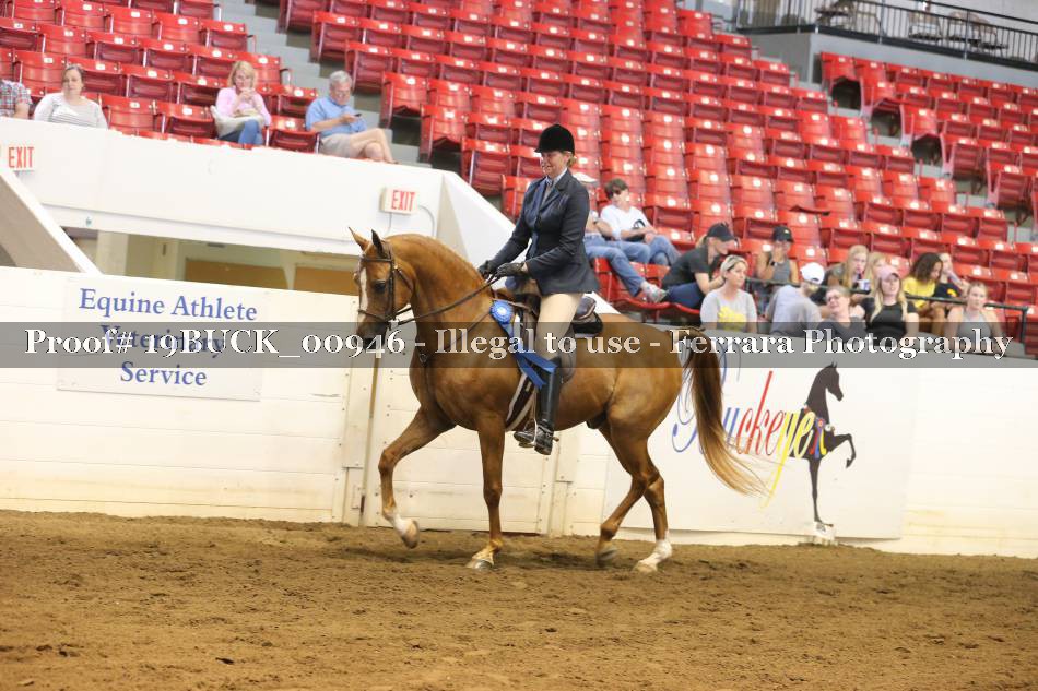 Proof 19BUCK_00946