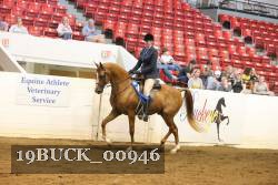 19BUCK_00946 proof