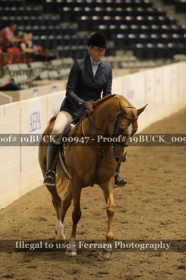 Proof 19BUCK_00947