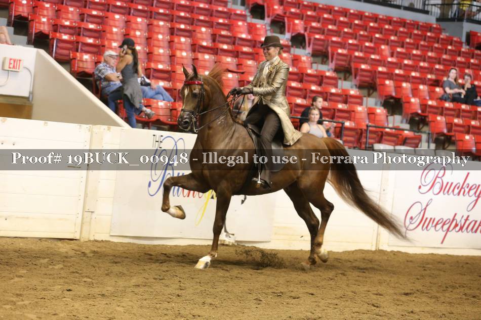Proof 19BUCK_00948