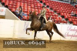 19BUCK_00948 proof