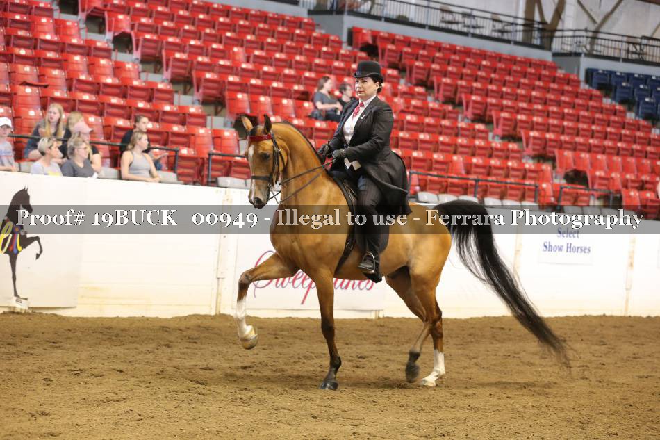 Proof 19BUCK_00949
