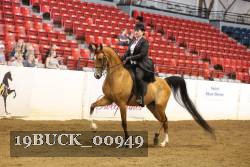 19BUCK_00949 proof