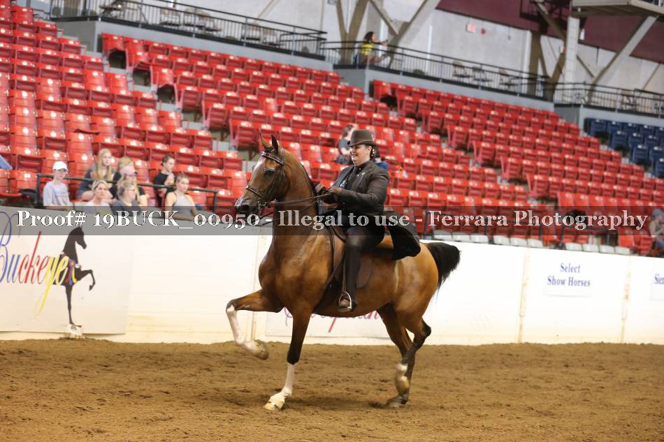 Proof 19BUCK_00950