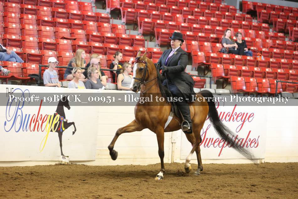 Proof 19BUCK_00951