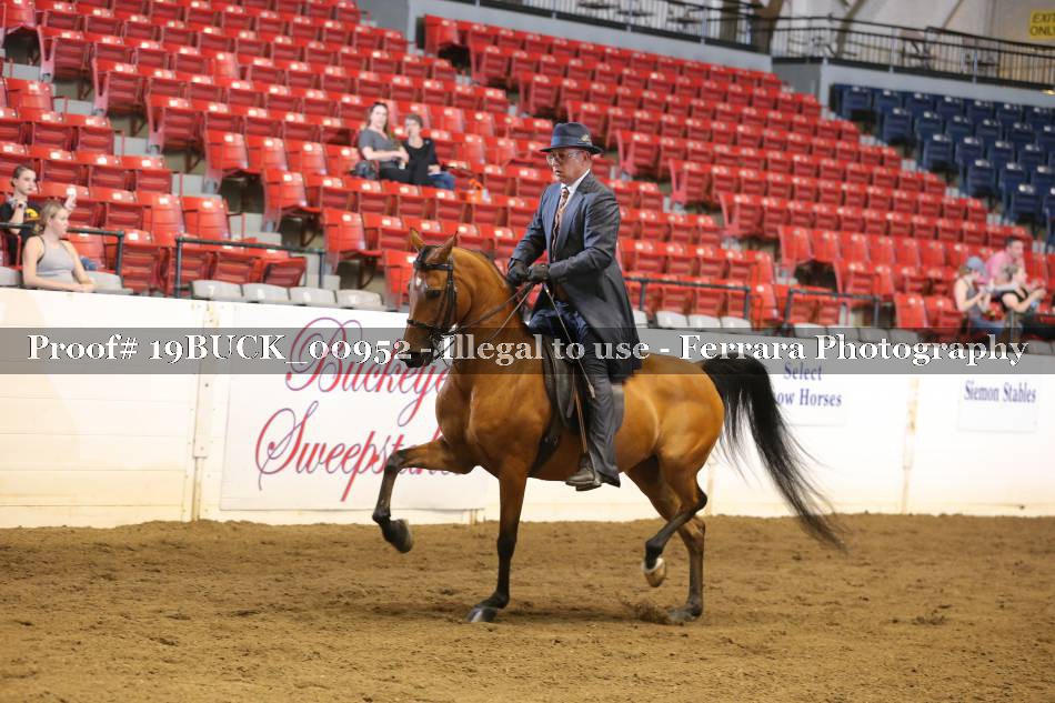 Proof 19BUCK_00952