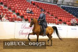 19BUCK_00952 proof
