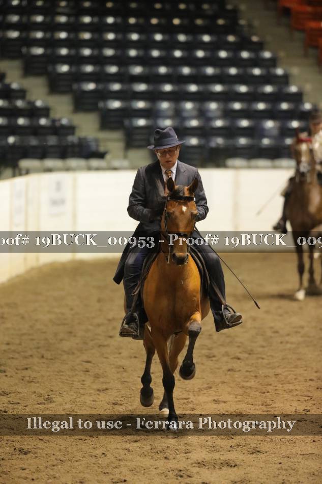 Proof 19BUCK_00953
