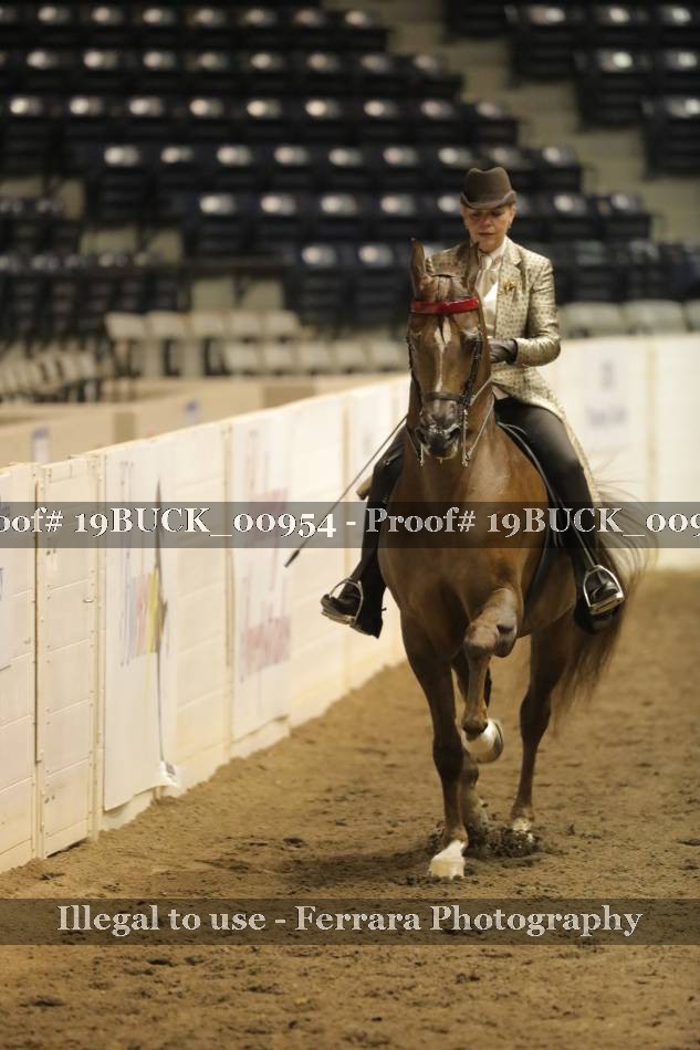 Proof 19BUCK_00954