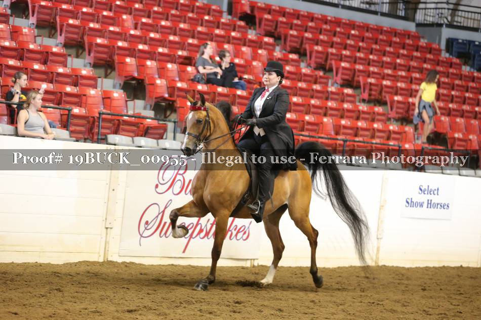 Proof 19BUCK_00955