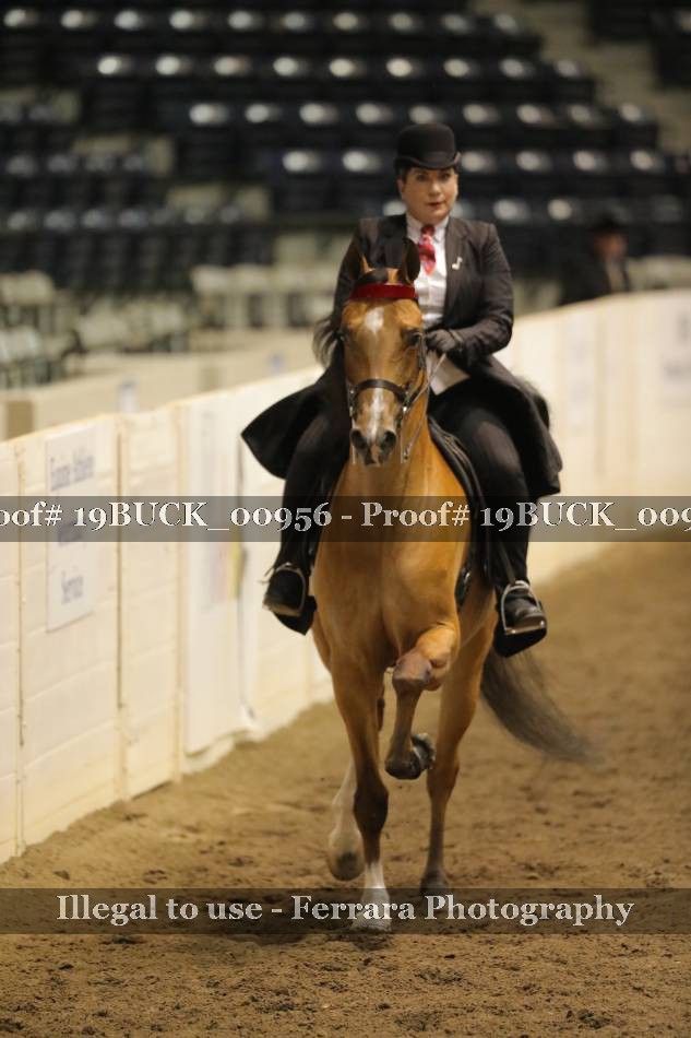 Proof 19BUCK_00956