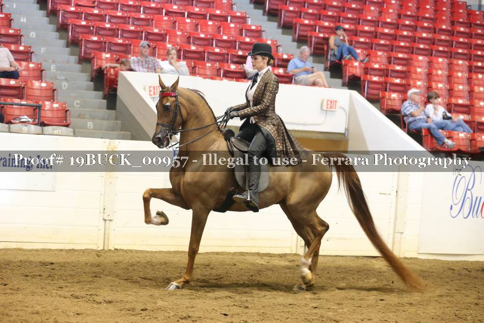 Proof 19BUCK_00957