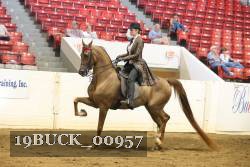 19BUCK_00957 proof