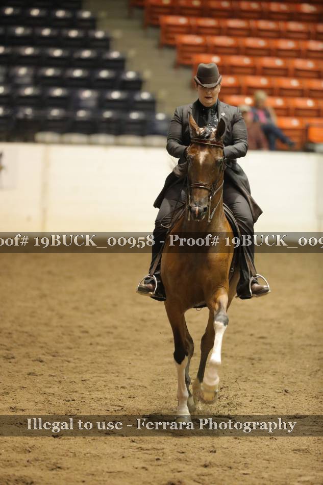 Proof 19BUCK_00958