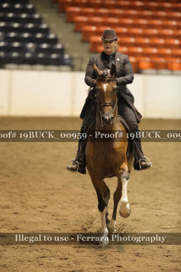 Proof 19BUCK_00959