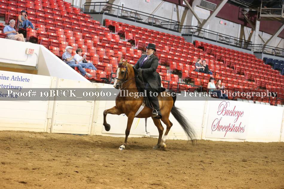 Proof 19BUCK_00960