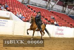 19BUCK_00960 proof