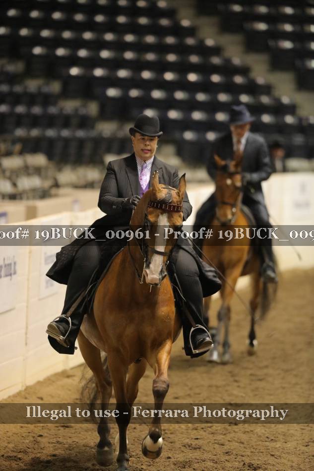 Proof 19BUCK_00961
