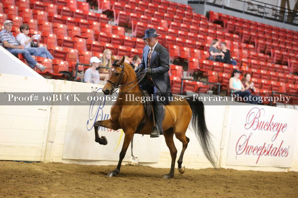 Proof 19BUCK_00962