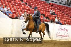 19BUCK_00962 proof
