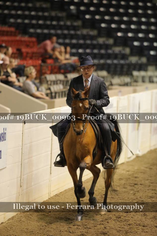 Proof 19BUCK_00963