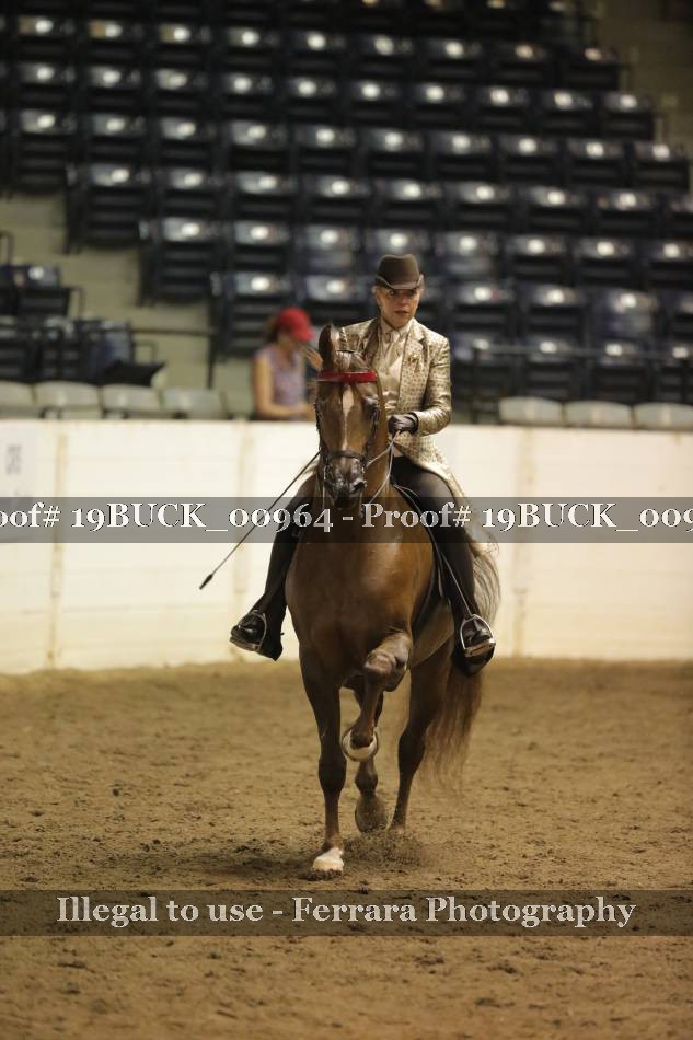 Proof 19BUCK_00964