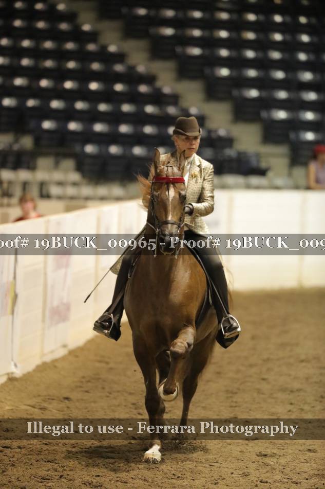Proof 19BUCK_00965