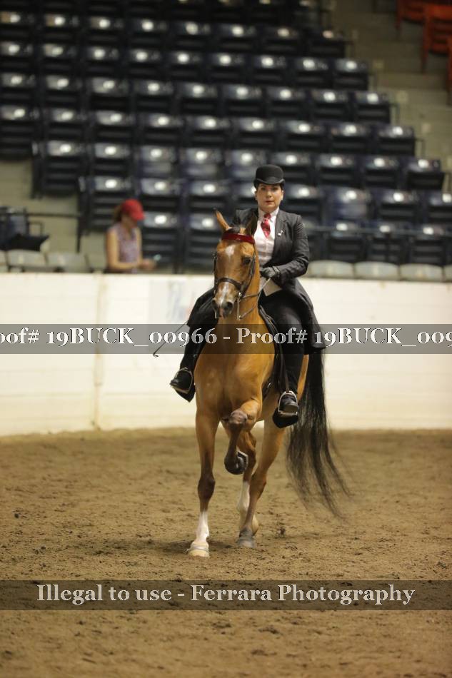 Proof 19BUCK_00966