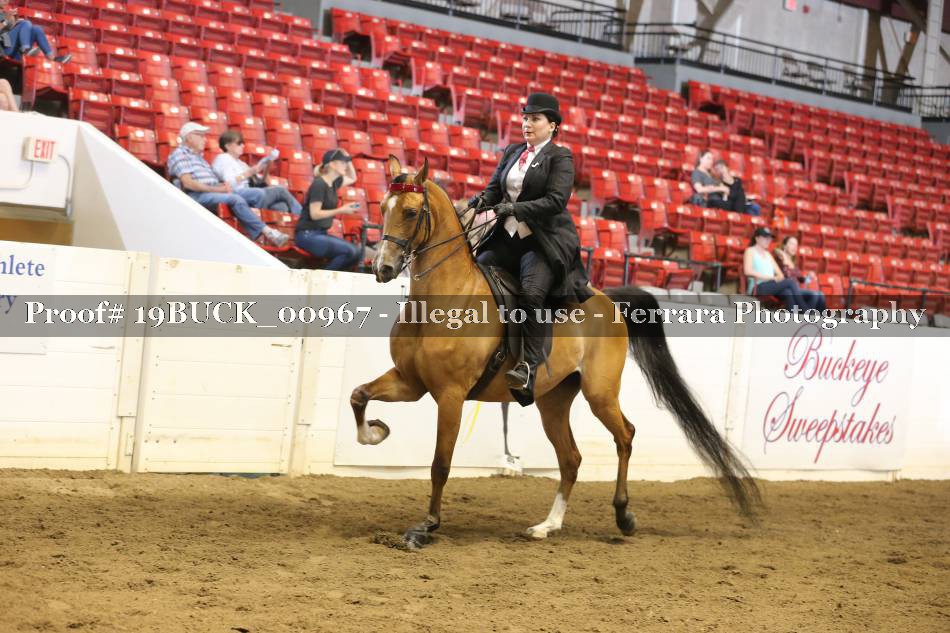 Proof 19BUCK_00967