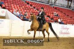 19BUCK_00967 proof