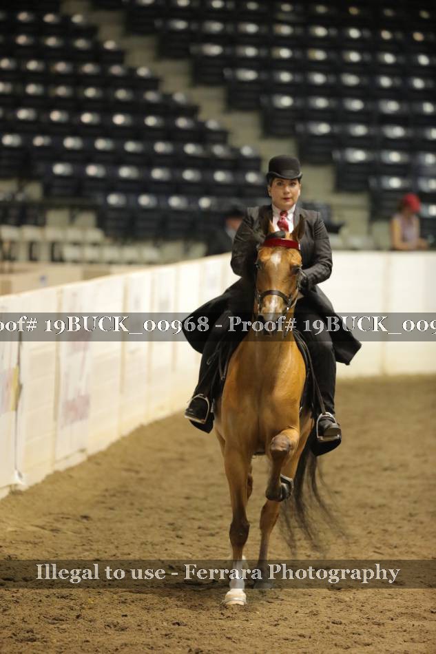 Proof 19BUCK_00968