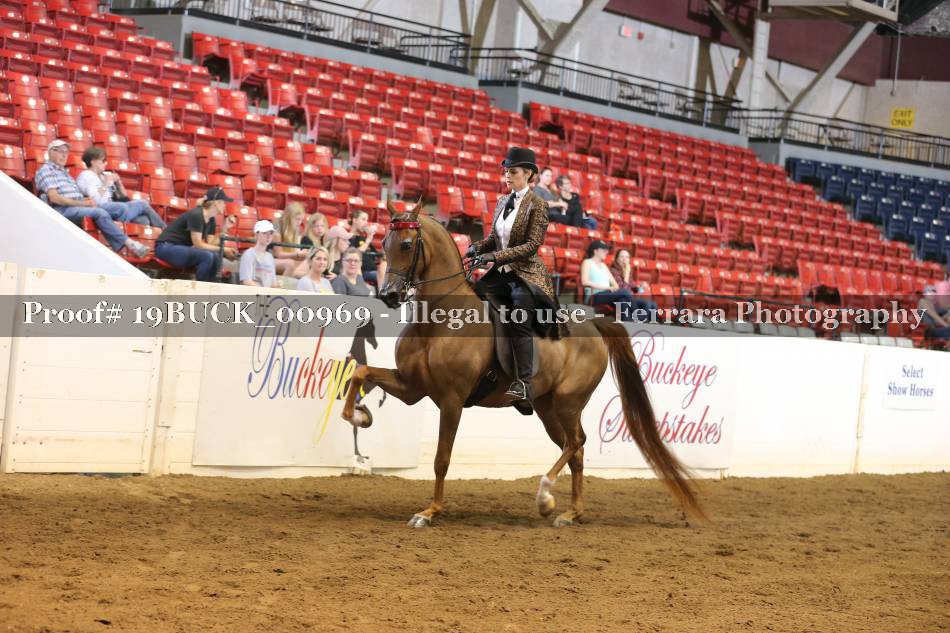 Proof 19BUCK_00969