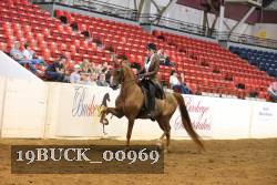 19BUCK_00969 proof